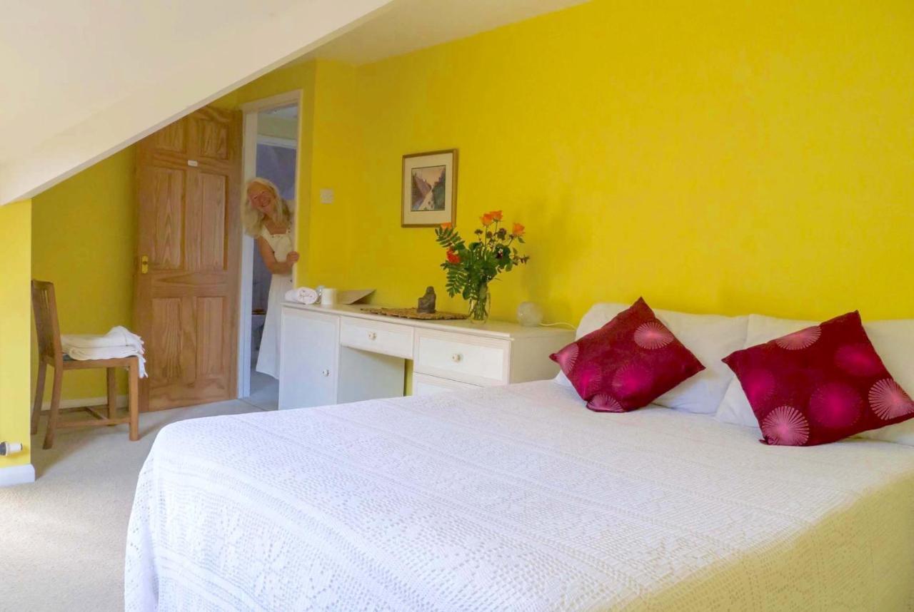 Healing Waters Sanctuary For Exclusive Private Hire And Self Catering Board, Vegetarian, Alcohol & Wifi Free Retreat In Glastonbury Exteriér fotografie