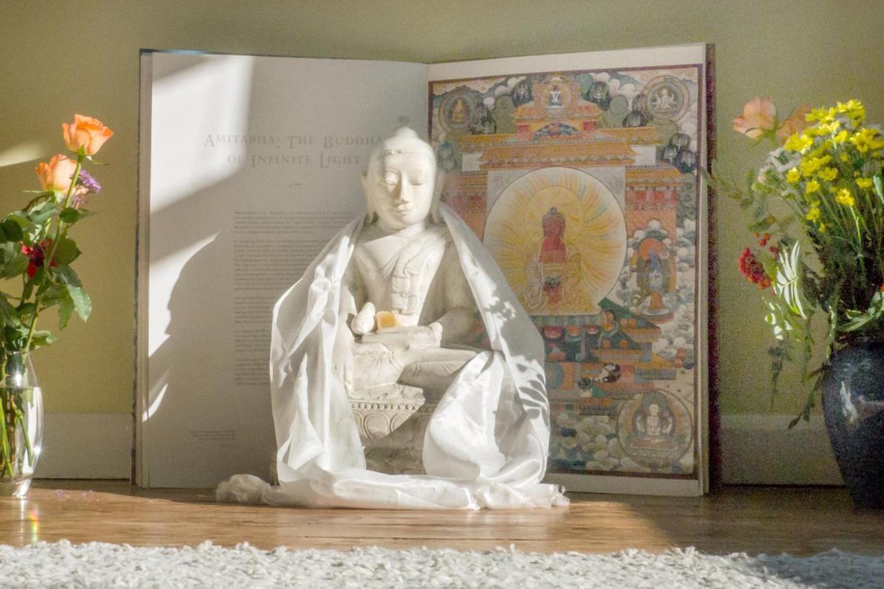 Healing Waters Sanctuary For Exclusive Private Hire And Self Catering Board, Vegetarian, Alcohol & Wifi Free Retreat In Glastonbury Exteriér fotografie
