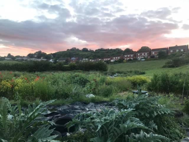 Healing Waters Sanctuary For Exclusive Private Hire And Self Catering Board, Vegetarian, Alcohol & Wifi Free Retreat In Glastonbury Exteriér fotografie