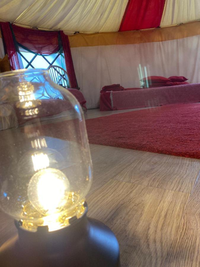 Healing Waters Sanctuary For Exclusive Private Hire And Self Catering Board, Vegetarian, Alcohol & Wifi Free Retreat In Glastonbury Exteriér fotografie