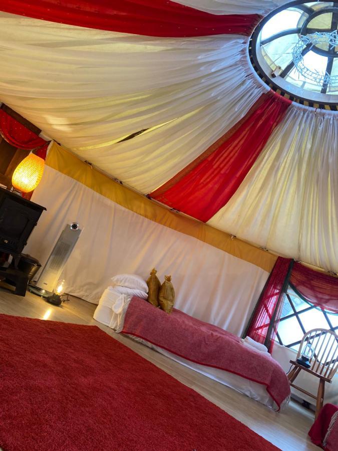 Healing Waters Sanctuary For Exclusive Private Hire And Self Catering Board, Vegetarian, Alcohol & Wifi Free Retreat In Glastonbury Exteriér fotografie
