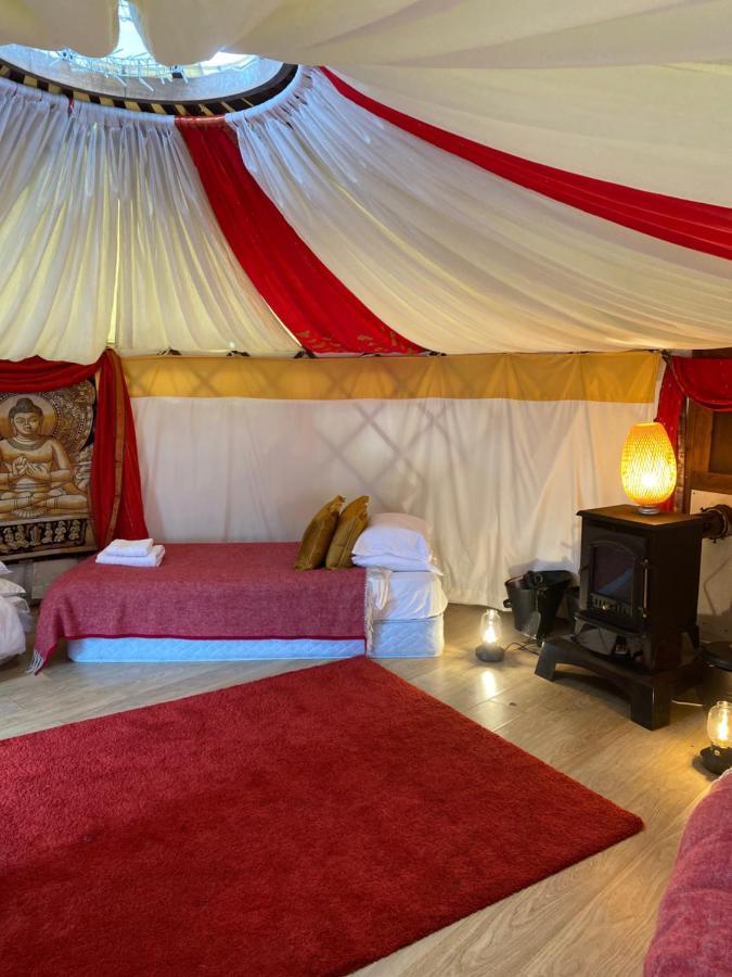 Healing Waters Sanctuary For Exclusive Private Hire And Self Catering Board, Vegetarian, Alcohol & Wifi Free Retreat In Glastonbury Exteriér fotografie