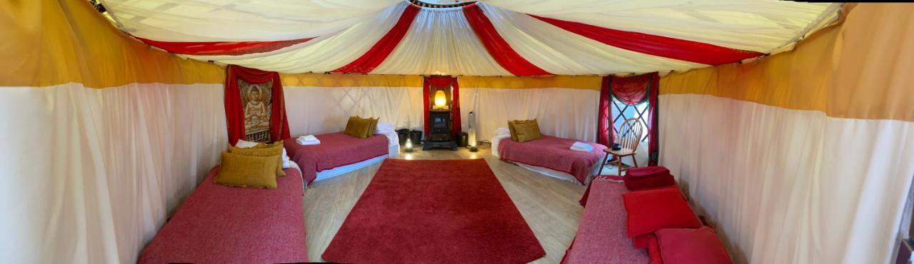 Healing Waters Sanctuary For Exclusive Private Hire And Self Catering Board, Vegetarian, Alcohol & Wifi Free Retreat In Glastonbury Exteriér fotografie