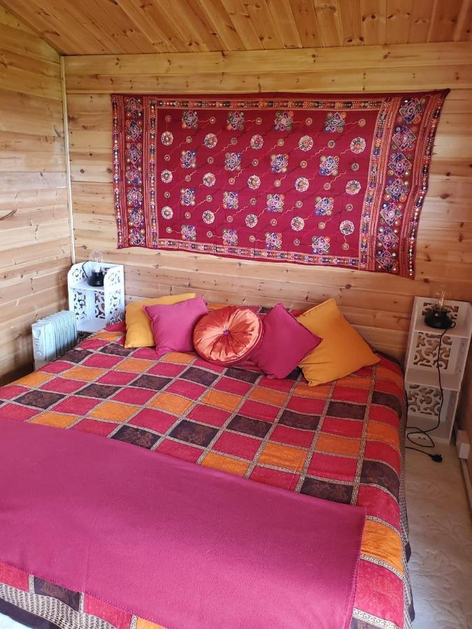 Healing Waters Sanctuary For Exclusive Private Hire And Self Catering Board, Vegetarian, Alcohol & Wifi Free Retreat In Glastonbury Exteriér fotografie