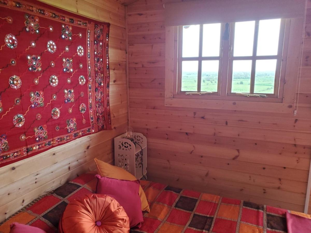 Healing Waters Sanctuary For Exclusive Private Hire And Self Catering Board, Vegetarian, Alcohol & Wifi Free Retreat In Glastonbury Exteriér fotografie